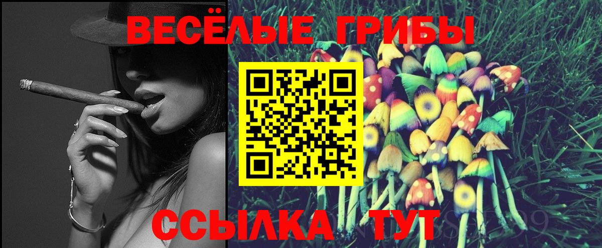 Кашира  Псилоцибиновые грибы Magic Shrooms  Вход с VPN  Псилоцибиновые грибы Cubensis 