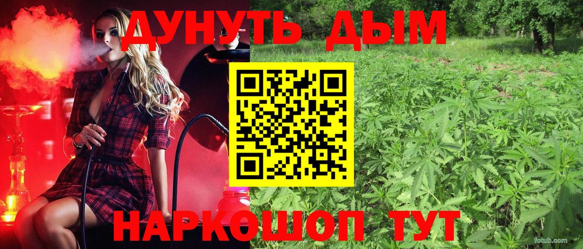 Конопля AK-47 Кашира
